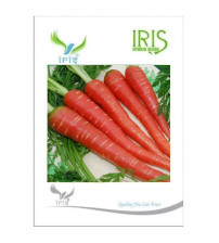 Iris Imported Carrot 80 Seeds